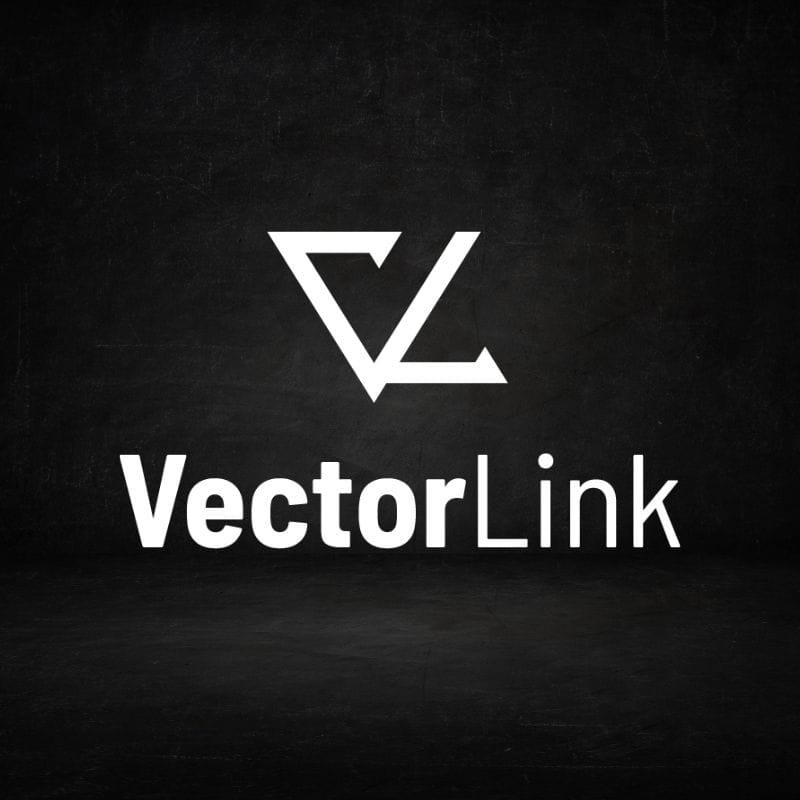 Brand vision for a tech startup, a picture of VectorLink's logo